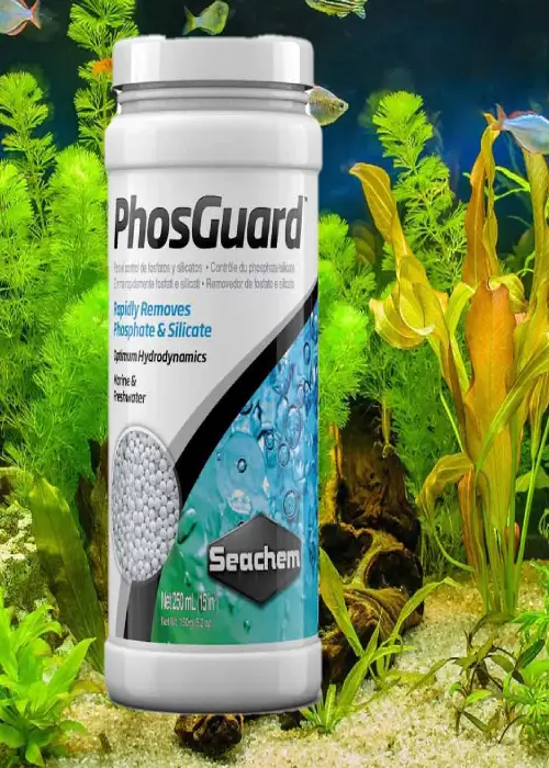مدیای فلیتر حذف فسفات و سیلیکات سیچم SEACHEM PhosGuard سایز 250 میلی لیتر