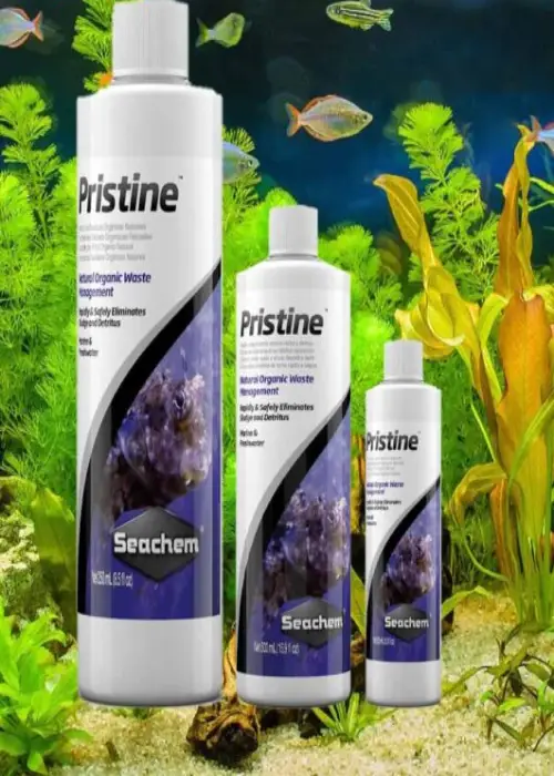 محلول آماده ساز آب آکواریوم سیچم Pristine سایز 100 میلی لیتر