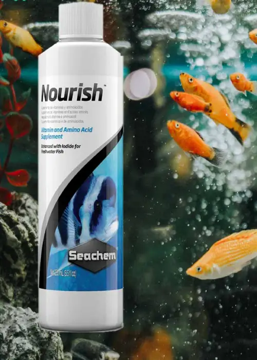 مکمل تغذیه ای ویتامین و اسید آمینه سیچم seachem Nourish حجم 250 میلی لیتر