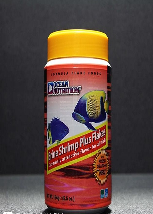 براین شریمپ پلاس پولکی(34g)