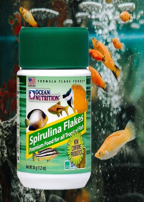 غذای ماهی پولکی جلبک اوشن نوتریشن Spirulina Flakes وزن 34 گرم