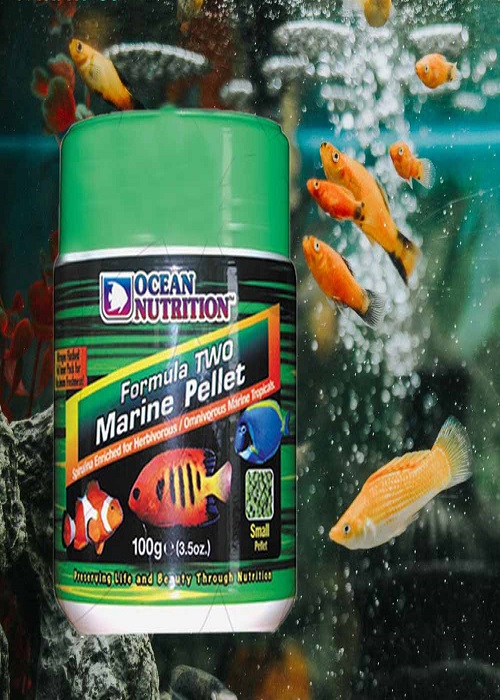 غذای فرمول دو آب شور اوشن نوتریشن (وزن100گرم)