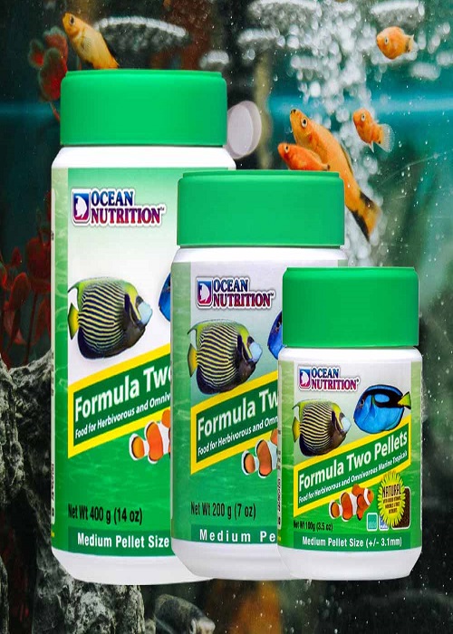 غذای فرمول دو آب شور متسط اوشن نوتریشن (وزن200گرم)